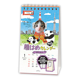【2019年版・卓上】 日本ホールマーク 顔はめカレンダー/卓上 顔はめ・国内旅行 749385