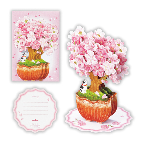 ホールマーク（Hallmark） 春柄立体グリーティングカード 814380 桜