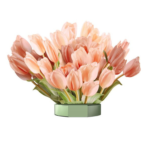 川崎桜　SC サイン付き　ビルディバイドブライド　psa10 川崎桜 SC サイン付き ビルディバイドブライド psa10 川崎桜SC