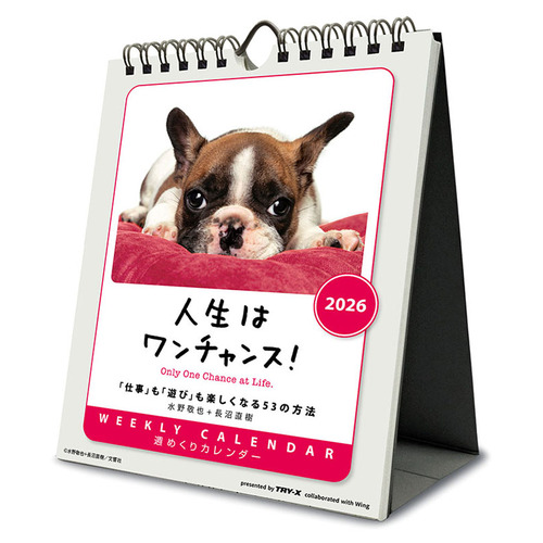 だいちゃんさん　リーガル 11AR REGAL ストレートチップ（11DLCJ） | 靴のリーガルコーポレーション