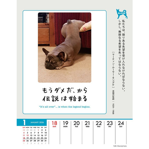 2026年版・壁掛卓上兼用】 トライエックス（TRY-X) 週めくり 人生は