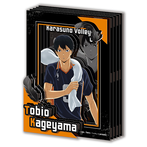 エンスカイ ペーパーシャドーアート ミニ SA-M08 ハイキュー!! 影山飛