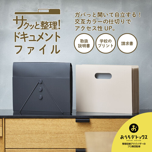 キングジム（KING JIM） サクッと整理！ドキュメントファイル フタ付