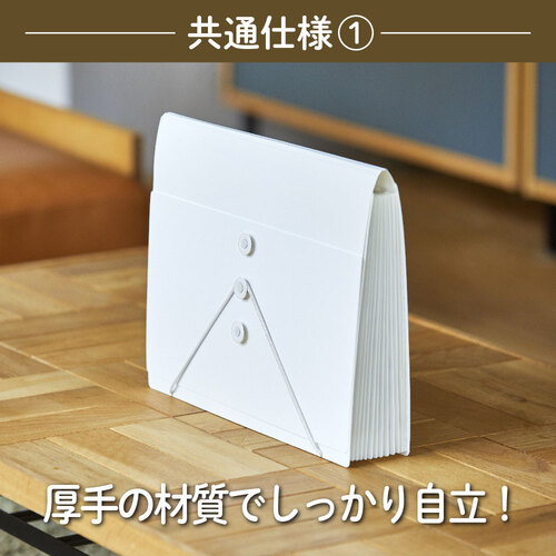 キングジム（KING JIM） サクッと整理！ドキュメントファイル フタ付