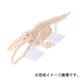 カワダ ナノブロック シロナガスクジラ骨格 NBM010