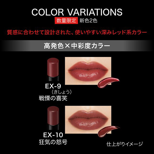 ケイト（KATE） リップモンスター EX－10 狂気の怒号｜【ハンズ
