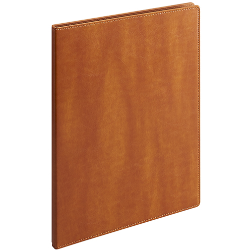 セキセイ クリヤーファイル A4 10ポケット BP-5810 キャメル｜【ハンズ