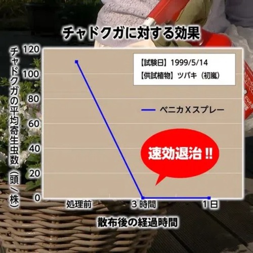 住友化学園芸 ベニカXスプレー 1000mL｜【ハンズネットストア】