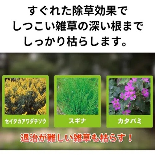 養緑 (YOMOGI NO YAKU) 720ml 2本セット ヤマレスト フレーバードスピリッツ KYOTO UJI GYOKURO 200ml 42