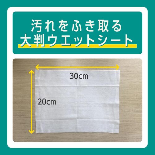 住友化学園芸 MY PLANTS 葉をきれいにするシート 10枚｜【ハンズ