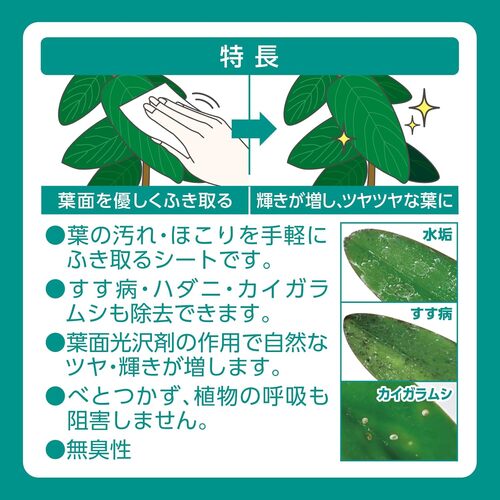 葉水 さま セリアの天才的アイテム】100円でいいの？逆さで使えるスプレー