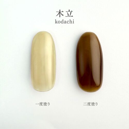 粧美堂（SHOBIDO） ジェリーバイ デコラティブジェルネイル カラー