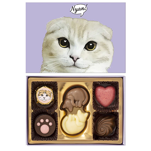 メリーチョコレート にゃそーてっどチョコレート 6個入 ※軽減税率対象