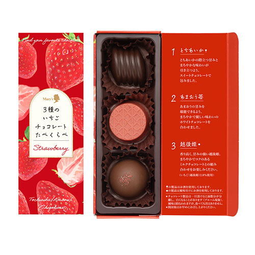 業務用トリミングチョーカー リボン バレンタイン 苺 イチゴチョコ 2月