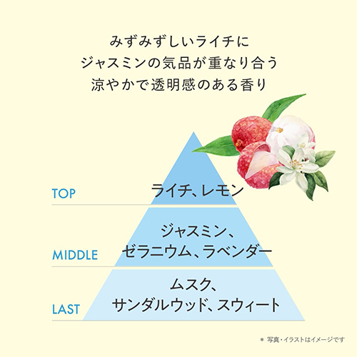 ティービーシー（TBC） 冷感インバスボディジェル 300g｜【ハンズ