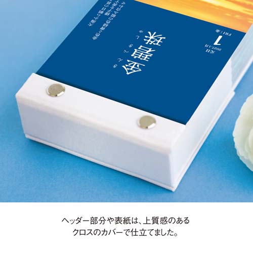 2027年版・日めくり】 暦生活 にっぽんのいろ日めくり 8827｜【ハンズ