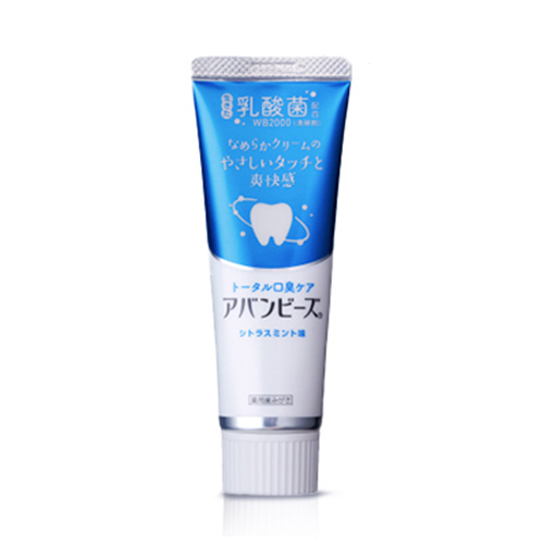 わかもと製薬　薬用歯みがき　アバンビーズ　トータル口臭ケア　80g