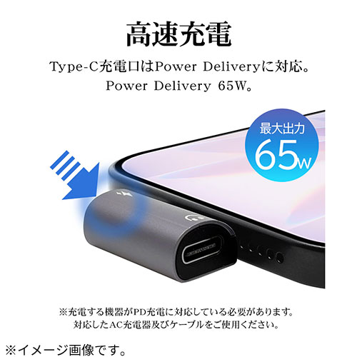 ラスタバナナ（RASTABANANA） ヘッドホン 充電器分割アダプタ Type-C