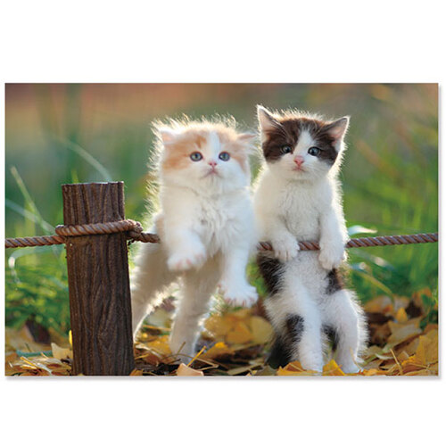 アクティブコーポレーション 秋柄ネコポストカード Pb 523a カード ポストカード ポストカード 写真 ハンズネットストア