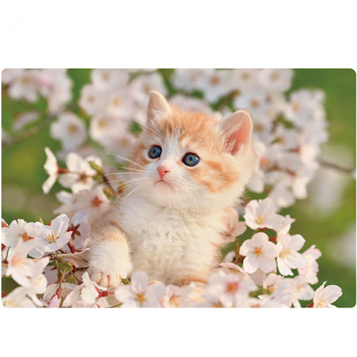 アクティブコーポレーション 春柄ネコ3dポストカード Pp 61h 桜 猫 カード ポストカード ポストカード 写真 東急ハンズネットストア アクティブコーポレーション 春柄ネコ3dポストカード Pp 61h 桜 猫 カード ポストカード ポストカード 写真 東急ハンズネットストア
