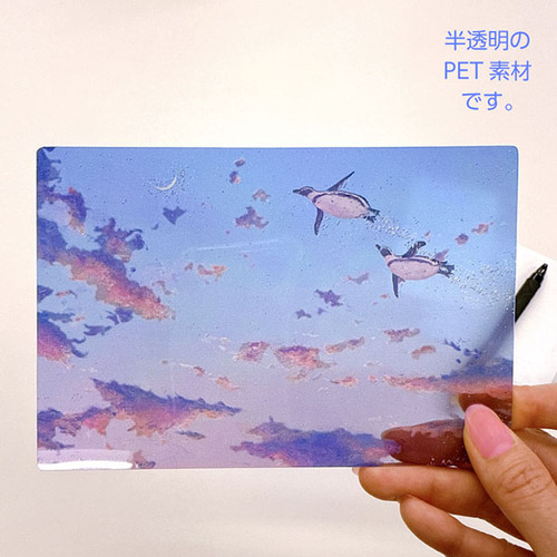 アクティブコーポレーション 夏柄ながつかゆうかクリアポストカード PP
