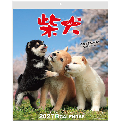 2027年版・壁掛】 アクティブコーポレーション 森田米雄・まるごと柴犬