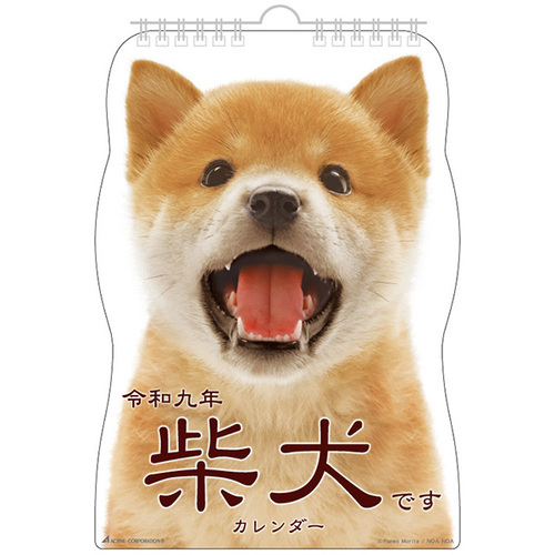 2027年版・壁掛】 アクティブコーポレーション 柴犬です 27ACL-65