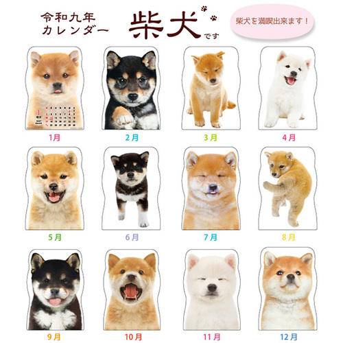 2027年版・壁掛】 アクティブコーポレーション 柴犬です 27ACL-65