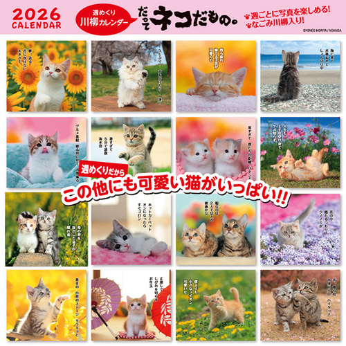 ネコ　レジカウンター　納期２０日まで ネコ レジカウンター 納期20日まで ネコ レジカウンター 納期20日