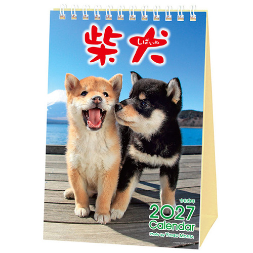 2027年版・卓上】 アクティブコーポレーション 森田米雄・まるごと柴犬