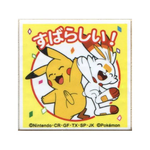 こどものかお ポケモンティーチャー 2873−006 ピカチュウとヒバニー