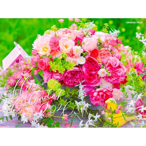 カレンデュラページ カレンデュラページ カレンデュラ 『オレンジフラッシュ』 | すべての