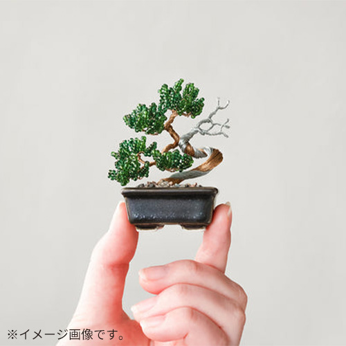 ミユキ（MIYUKI） ネジッテBONSAIキット_02 HCA30/9 枝垂桜｜【ハンズ