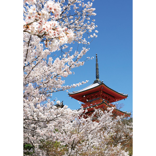 日本画　京都　岩船寺宵桜　三重塔　内田英湖 エヌ・ビー・シー 桜満開の清水寺 三重塔 京都－082｜【ハンズネット