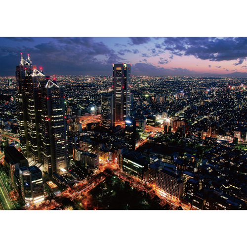 都市の夜景 高台からの美しい写真 3枚 エヌ・ビー・シー 都庁北展望台からの夜景 東京－150｜【ハンズネット