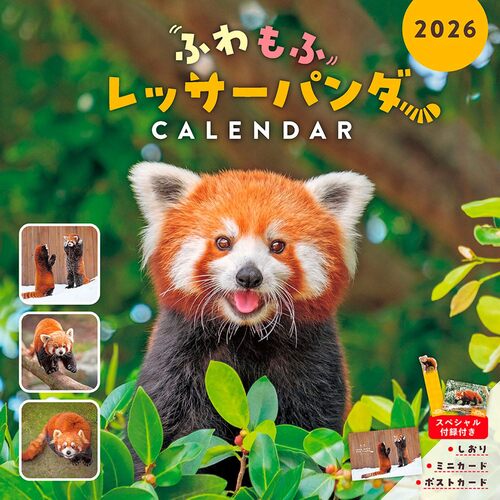 2026年版・壁掛】 インプレス ふわもふレッサーパンダ 6414