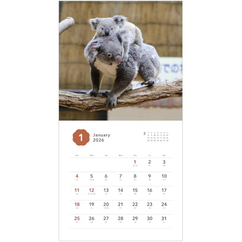 2026年版・壁掛】 辰巳出版 ふわふわコアラの親子カレンダー 6290