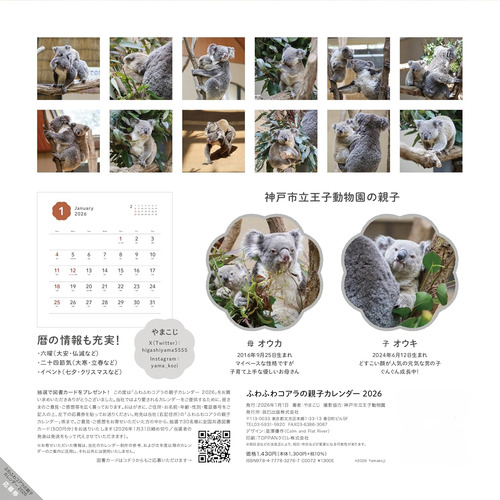 2026年版・壁掛】 辰巳出版 ふわふわコアラの親子カレンダー 6290