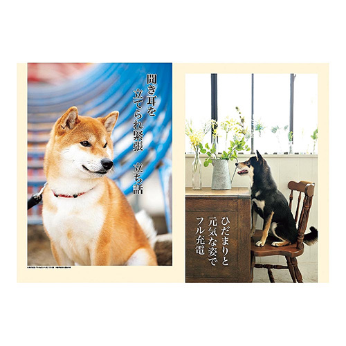 22年版 壁掛 アートプリントジャパン 犬川柳 カレンダー 壁掛けカレンダー 東急ハンズネットストア