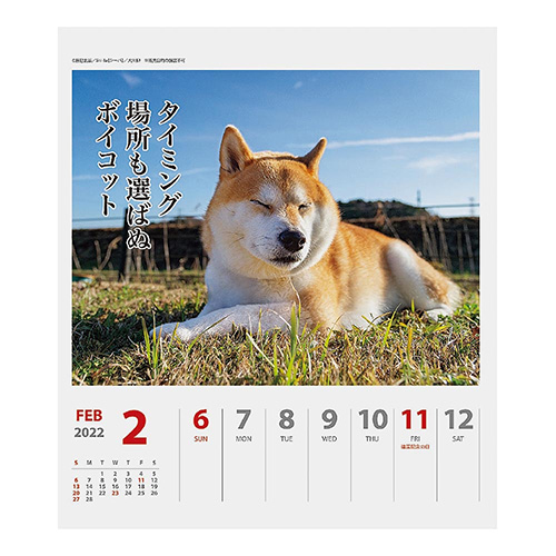 22年版 卓上 アートプリントジャパン 犬川柳 週めくり カレンダー 卓上カレンダー 東急ハンズネットストア