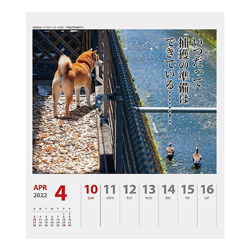 22年版 卓上 アートプリントジャパン 犬川柳 週めくり カレンダー 卓上カレンダー 東急ハンズネットストア