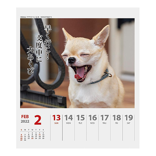 22年版 卓上 アートプリントジャパン チワワ川柳 週めくり カレンダー 卓上カレンダー 東急ハンズネットストア
