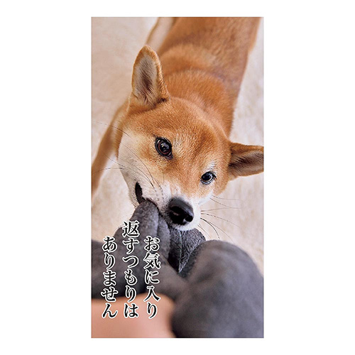 22年版 卓上 アートプリントジャパン 犬川柳 卓上 カレンダー 卓上カレンダー 東急ハンズネットストア