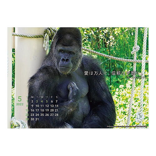 22年版 卓上 アートプリントジャパン シャバーニ 格言 卓上 カレンダー 卓上カレンダー 東急ハンズネットストア