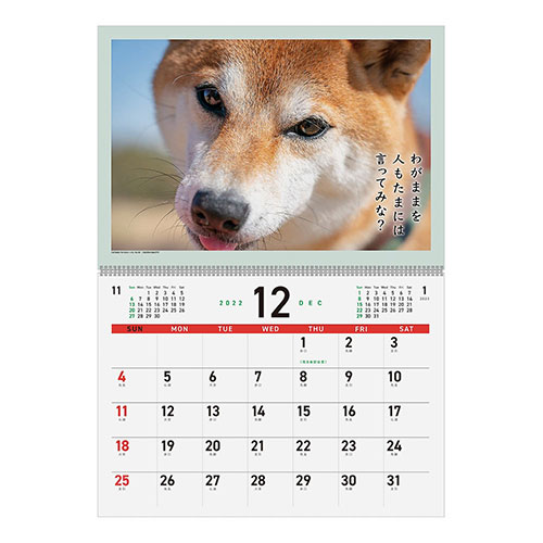 23年版 壁掛 アートプリントジャパン 犬川柳 024 カレンダー 壁掛けカレンダー ハンズネットストア