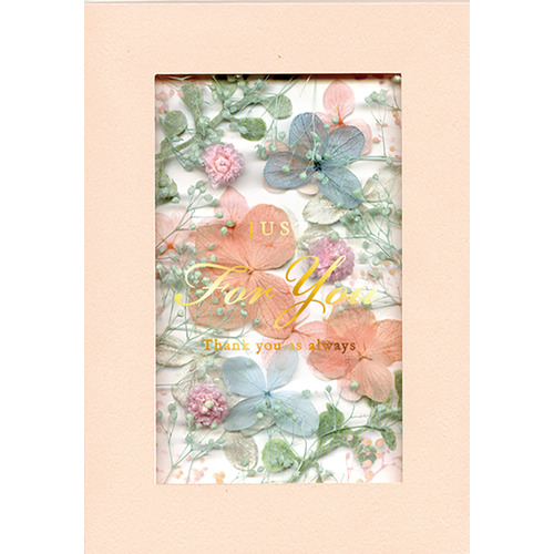 フローラル　floral 絵本25冊全巻セット　多様なテーマ　想像力 100095-3-