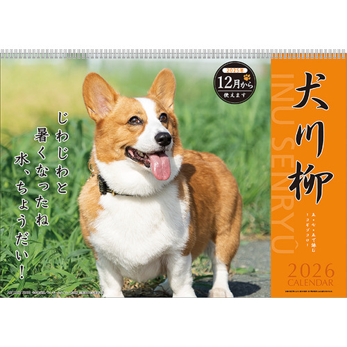 2026年版・壁掛】 アートプリントジャパン（A.P.J.） コーギー川柳 020