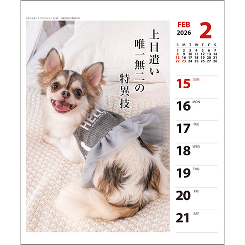 PAW★Imagine 50周年 2LP ホワイトカラー 2026年版・壁掛卓上兼用】 アートプリントジャパン（A.P.J.） 週