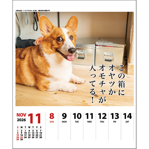 2026年版・壁掛卓上兼用】 アートプリントジャパン（A.P.J.） 週めくり