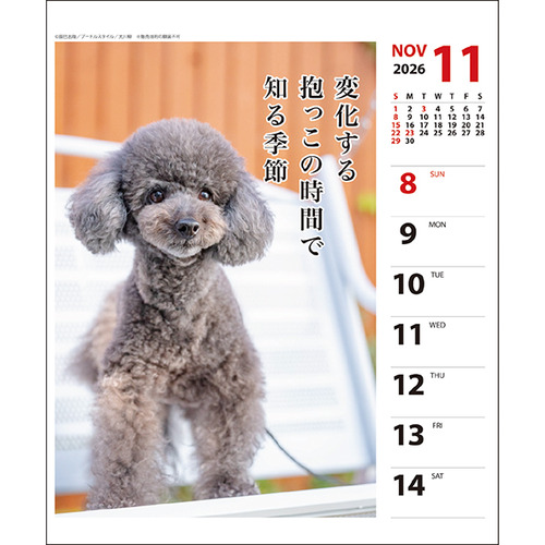 2026年版・壁掛卓上兼用】 アートプリントジャパン（A.P.J.） 週めくり